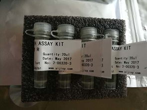 細(xì)胞生物學(xué)檢測(cè)試劑盒 非臨床診斷用生物試劑的應(yīng)用與展望